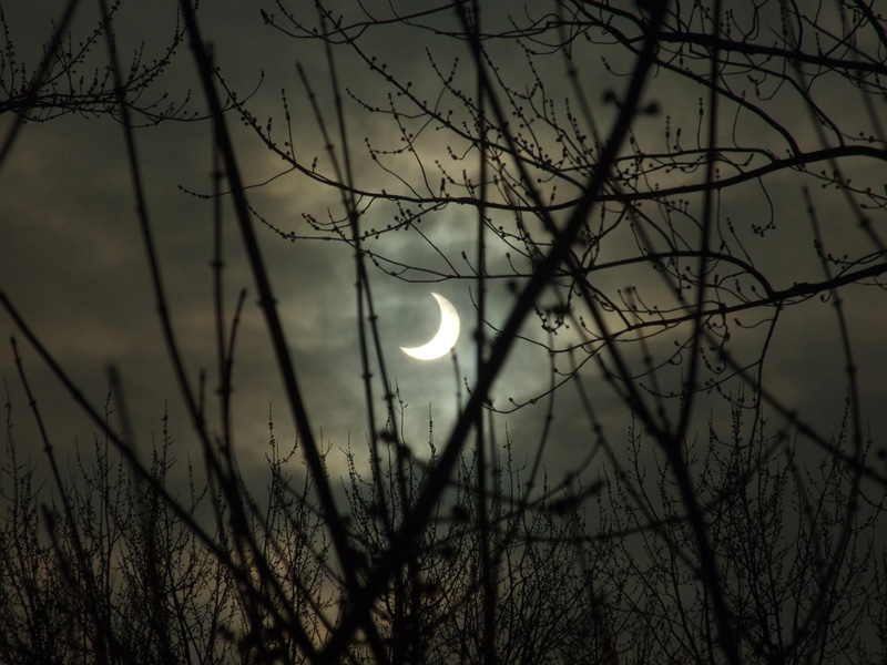 Partial Solar Eclipse - Jan. 04, 2011