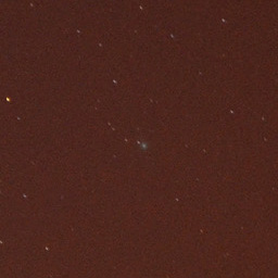 Obserwacje komety Lovejoy (C/2014 Q2)