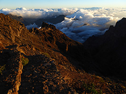 Roque de los muchachos observatory