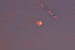 Cakowite zamienie Ksiyca, 27 lipca 2018 r. (Lunar eclipse, July 27, 2018)