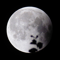 Całkowite zaćmienie Księżyca, 27 lipca 2018 r. (fot. Kasia)