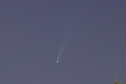 Kometa C/2020 F3 (NEOWISE)