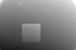 Kometa C/2025 A6 (Lemmon), padziernik 2025 r. (Comet C/2025 A6, October 2025)