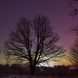 Zorza polarna, 20 stycznia 2026 r. (Aurora borealis, January 20, 2026)