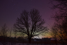 Zorza polarna, 20 stycznia 2026 r. (Aurora borealis, January 20, 2026)