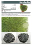 _Moldavite_cs_26_647g-passport