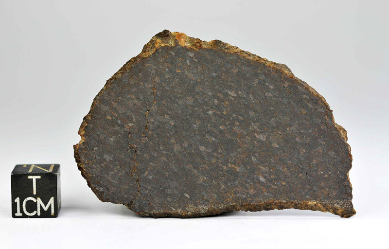 Meteorite NWA 10334 for sale