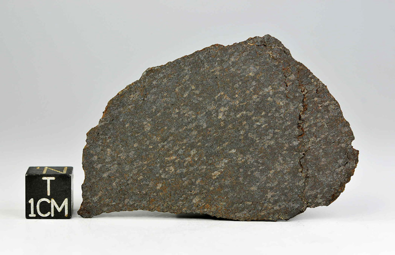 Meteorite NWA 10334 for sale