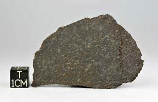 meteorite NWA 10334, URE