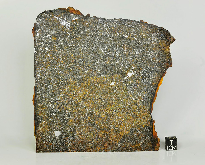 Meteorite Zakłodzie for sale