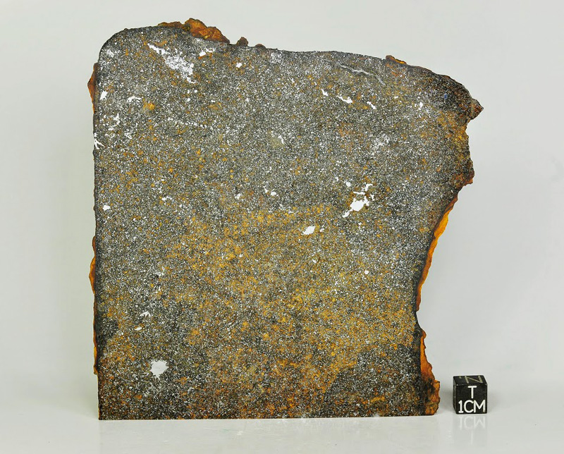 Meteorite Zakodzie for sale