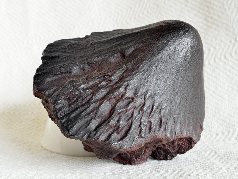 Meteorite Adamana (cast) for sale