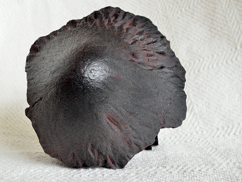 Meteorite Adamana (cast) for sale