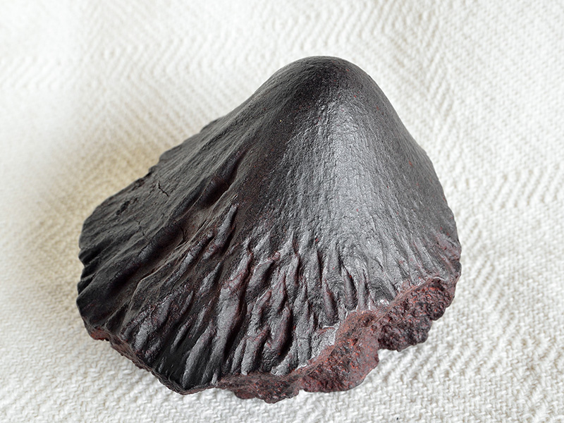 Meteorite Adamana (cast) for sale