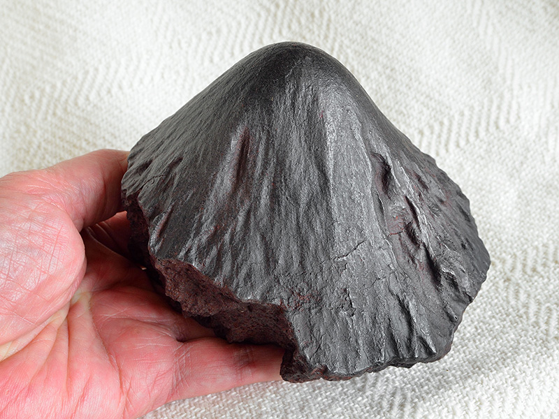 Meteorite Adamana (cast) for sale