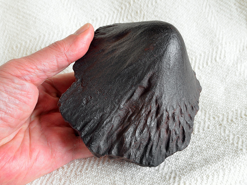 Meteorite Adamana (cast) for sale