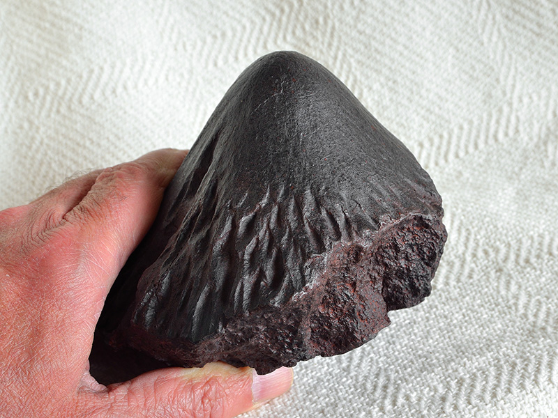 Meteorite Adamana (cast) for sale