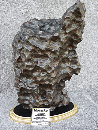 Morasko (cast) for sale, Cobliner specimen