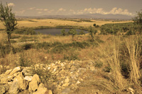 Zerelia Lakes. Kupiskol  wrd tych kamieni s zapewne brekcje, a by moe i fragmenty meteorytu?