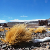 Llano de Chajnantor, Chile (wyprawa na cakowite zamienie Soca, Chile 2019)