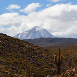 Kaktusy, lamy Wikunia, Gejzery  El Tatio, Chile (wyprawa na cakowite zamienie Soca, Chile 2019)