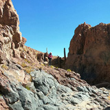 Kaktusy, lamy Wikunia, Gejzery  El Tatio, Chile (wyprawa na cakowite zamienie Soca, Chile 2019)