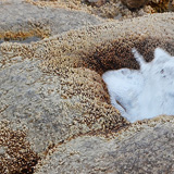 Gejzery El Tatio, Chile (wyprawa na cakowite zamienie Soca, Chile 2019)