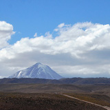 Kaktusy, lamy Wikunia, Gejzery  El Tatio, Chile (wyprawa na cakowite zamienie Soca, Chile 2019)