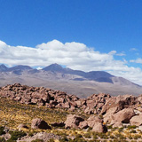 Kaktusy, lamy Wikunia,  Gejzery El Tatio, Chile (wyprawa na cakowite zamienie Soca, Chile 2019)