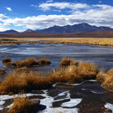 Kaktusy, lamy Wikunia,  Gejzery El Tatio, Chile (wyprawa na cakowite zamienie Soca, Chile 2019)