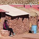 Kaktusy, lamy Wikunia,  Gejzery El Tatio, Chile (wyprawa na cakowite zamienie Soca, Chile 2019)