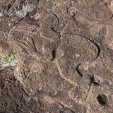 Ahu Tongariki, Wyspa Wielkanocna, Rapa Nui (wyprawa na cakowite zamienie Soca, Chile 2019)