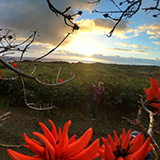 Ana Kakenga, Wyspa Wielkanocna, Rapa Nui (wyprawa na całkowite zaćmienie Słońca, Chile 2019)