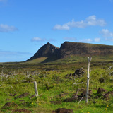 Rano Raraku, Wyspa Wielkanocna, Rapa Nui (wyprawa na cakowite zamienie Soca, Chile 2019)