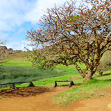 Rano Raraku, Wyspa Wielkanocna, Rapa Nui (wyprawa na cakowite zamienie Soca, Chile 2019)