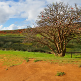 Rano Raraku, Wyspa Wielkanocna, Rapa Nui (wyprawa na cakowite zamienie Soca, Chile 2019)