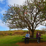 Rano Raraku, Wyspa Wielkanocna, Rapa Nui (wyprawa na cakowite zamienie Soca, Chile 2019)