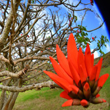 Rano Raraku, Wyspa Wielkanocna, Rapa Nui (wyprawa na cakowite zamienie Soca, Chile 2019)