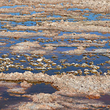 San Pedro de Atacama, Salar (wyprawa na cakowite zamienie Soca, Chile 2019)