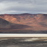 Vulcano Lastarria, Salar de Aguas Calientes (wyprawa na cakowite zamienie Soca, Chile 2019)