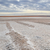 Vulcano Lastarria, Salar de Aguas Calientes (wyprawa na cakowite zamienie Soca, Chile 2019)