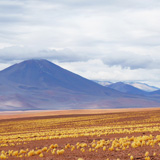 Vulcano Lastarria, Salar de Aguas Calientes (wyprawa na cakowite zamienie Soca, Chile 2019)