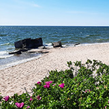 Litwa, otwa, Estonia; Saaremaa, 2024