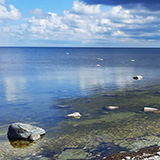 Litwa, otwa, Estonia; Saaremaa, 2024