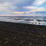 Litwa, otwa, Estonia; Saaremaa, 2024