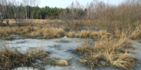 Bagno - widok od strony zachodniej