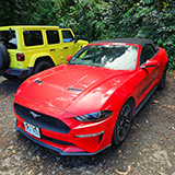 Waikamoi Nature Trailhead and Parking Area (Hawaii, Maui)