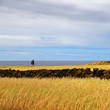 Big Island, South Point Hawaii