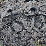 Hawaje; Puuloa Petroglyphs (Big Island, Hawaii Volcanoes National Park, Kahaualeʻa Natural Area Reserve)