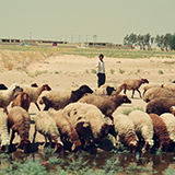 Wyprawa do Iranu i Turcji, 1996; fot. Wadi & Woreczko